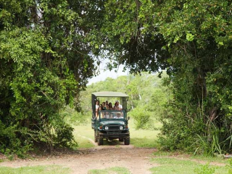 Pantanal