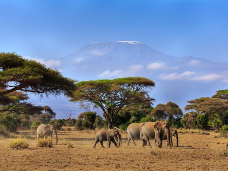Amboseli