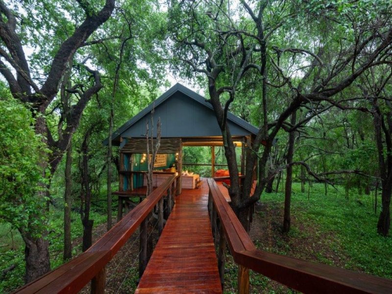 África do Sul - Madikwe Game Reserve by Jaci´s Lodge