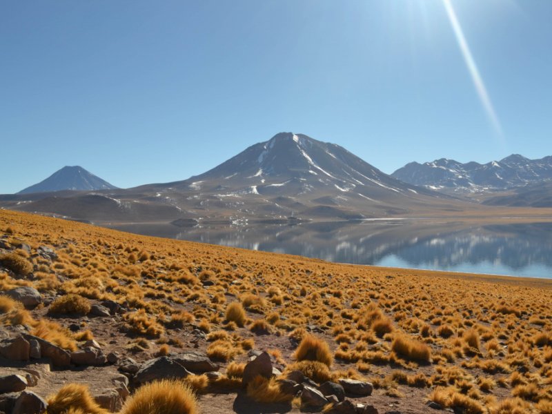 Lagunas Altiplanicas