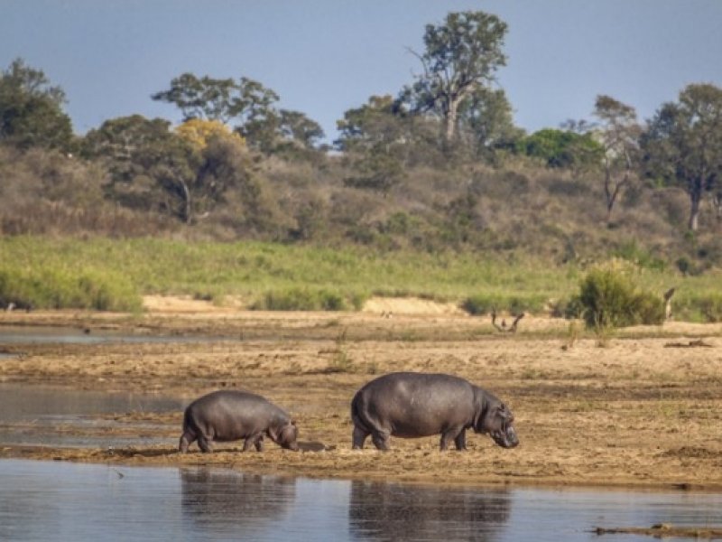 Moçambique & África do Sul