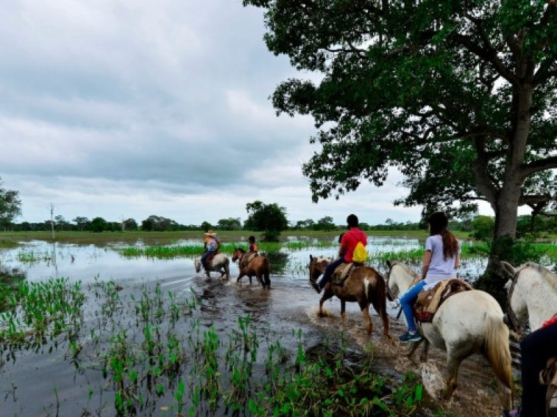 Pantanal Norte