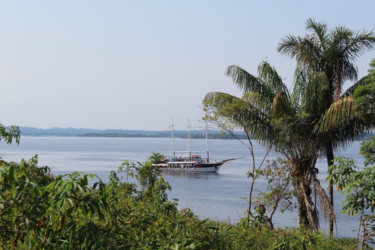 Pacote de Viagem para a Amazônia com Navegação no Rio Negro MV Desafio