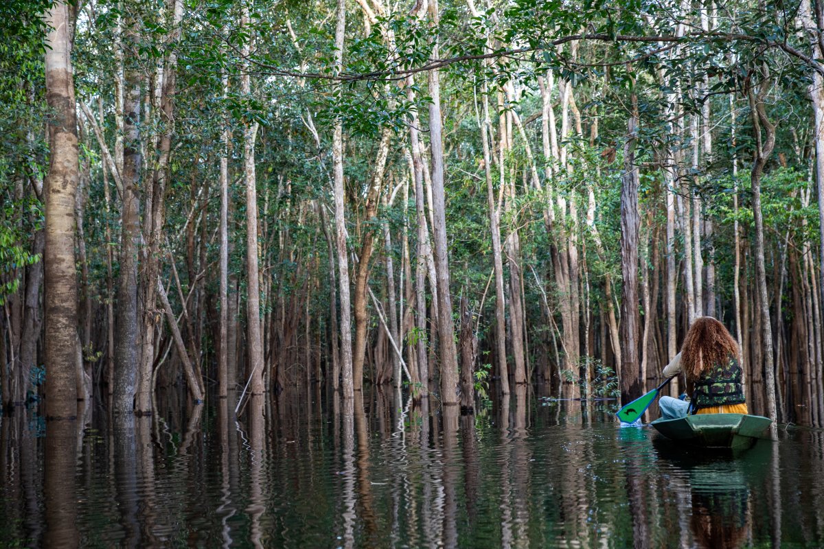 Pacotes de Viagem para Navegação no Rio Negro - Expedições Katerre