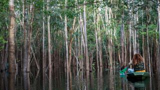 Pacotes de Viagem para Navegação no Rio Negro - Expedições Katerre