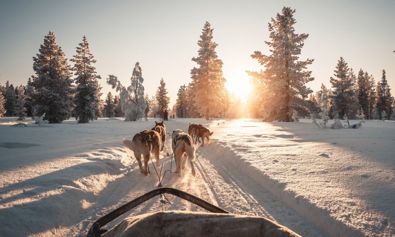 REVEILLON - Finlândia - Os Encantos de Rovaniemi