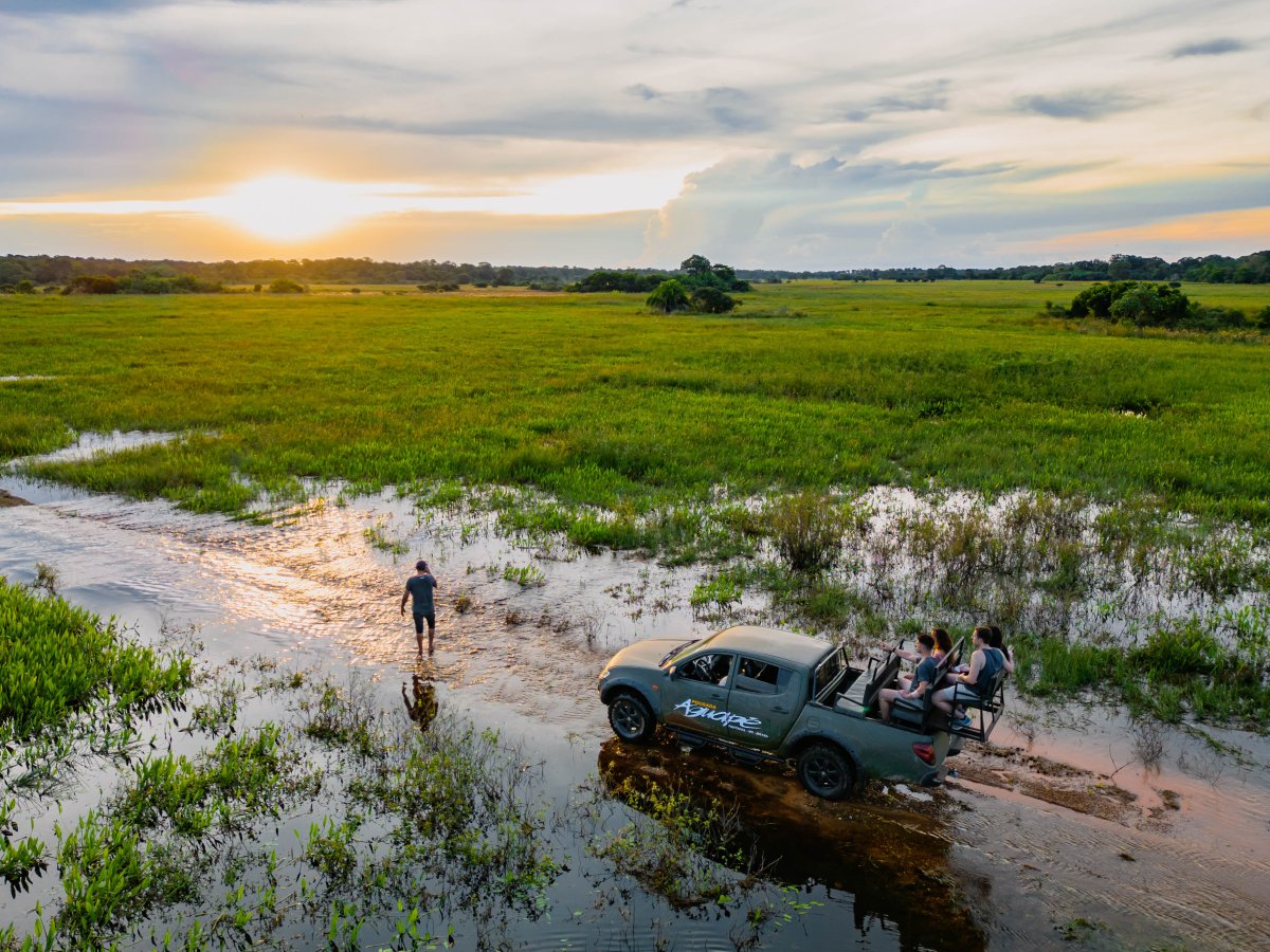 Pacotes de Viagem para o Pantanal na Pousada Aguapé