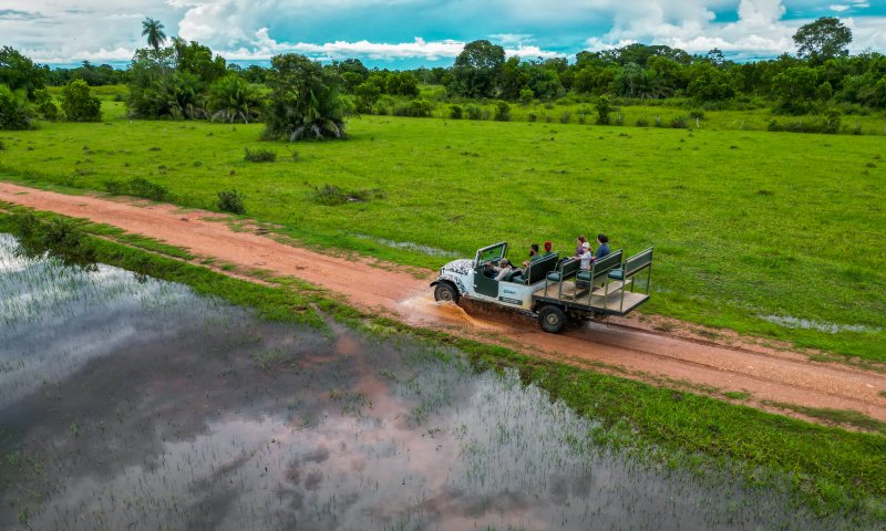 Pantanal Sul - Fazenda Aguapé