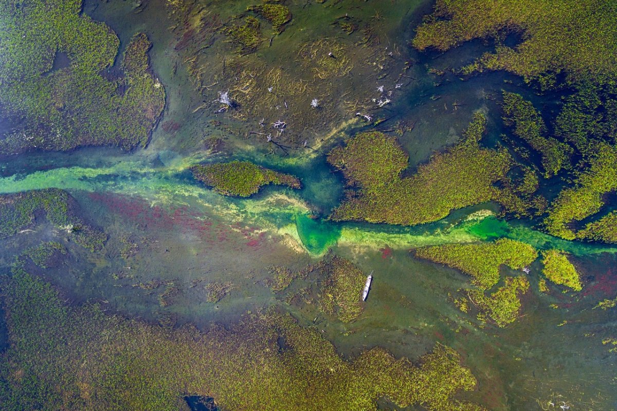 Pacotes de Viagem para o Pantanal Sul com Serra do Amolar