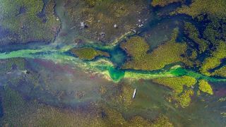 Pacotes de Viagem para o Pantanal Sul com Serra do Amolar