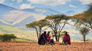 Pacotes de Viagem para Safari na Tanzânia