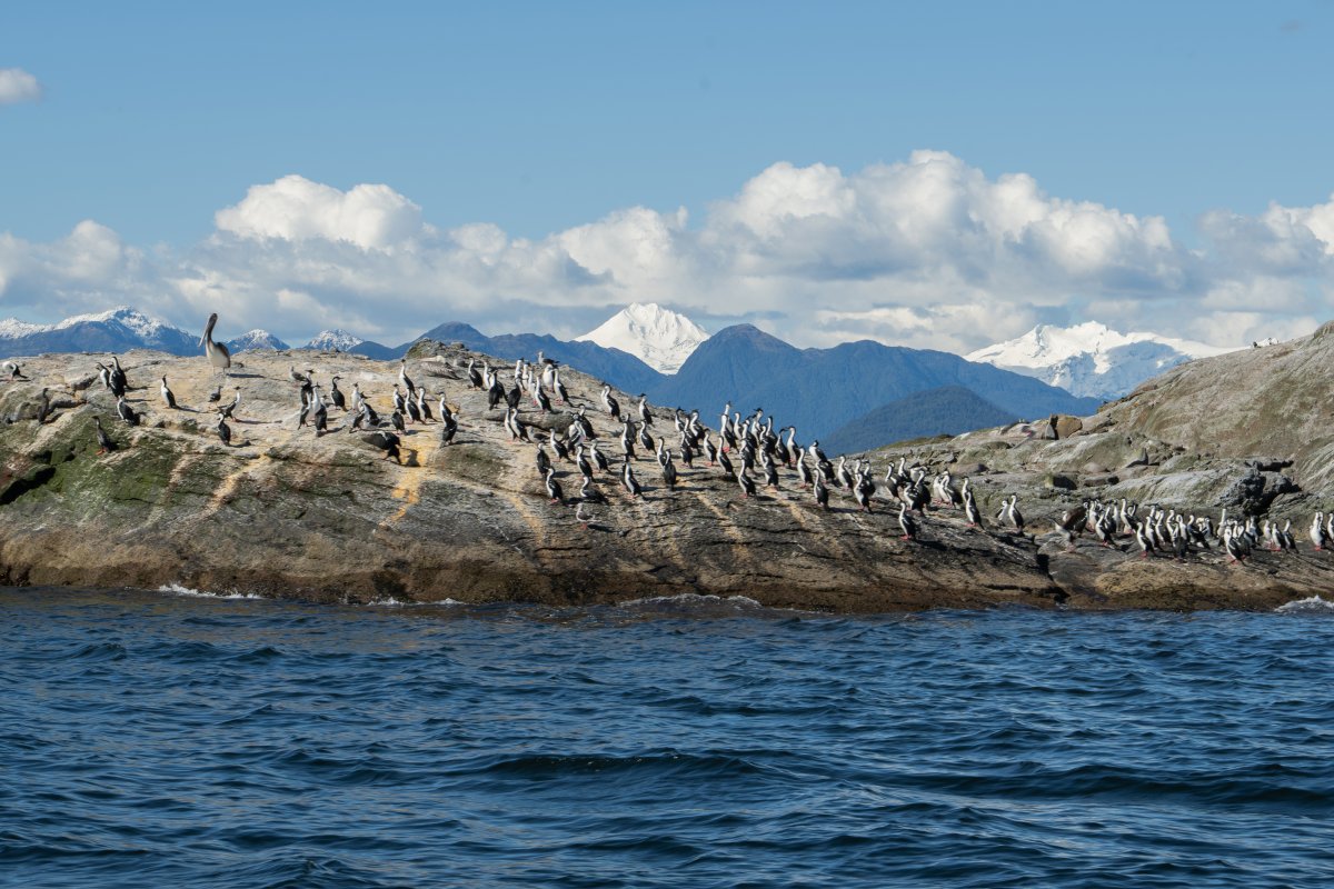 Pacote de Viagem para Cruzeiro Patagônia Skorpios Chile Rota Chonos