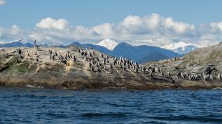 Pacote de Viagem para Cruzeiro Patagônia Skorpios Chile Rota Chonos