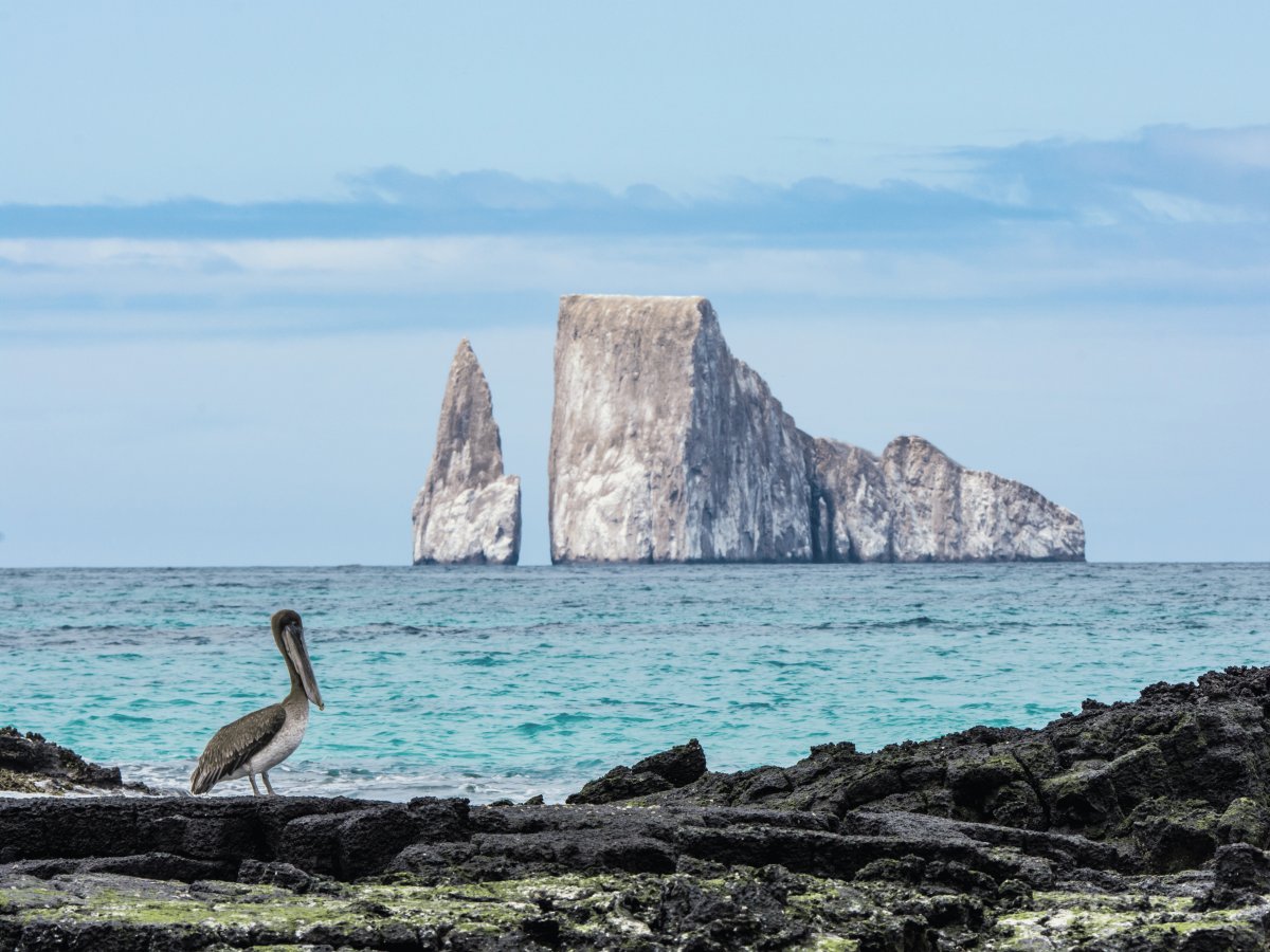 Pacotes de Viagem para Equador com Ilhas Galápagos