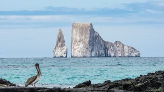 Pacotes de Viagem para Equador com Ilhas Galápagos