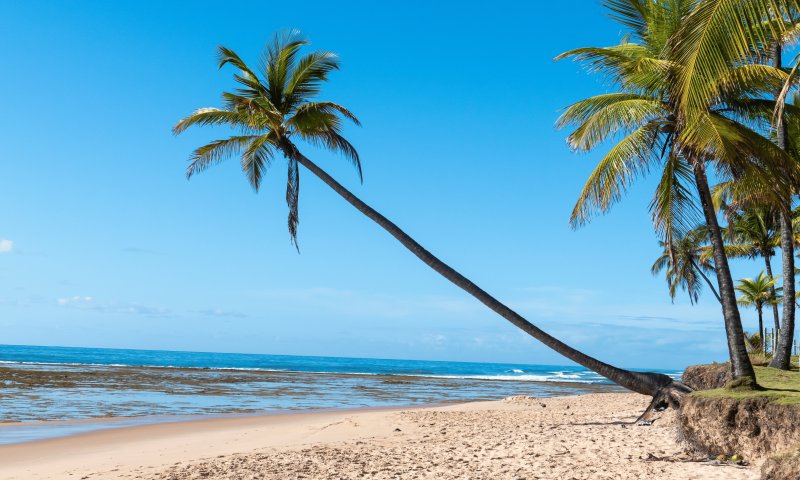 Ilha de Boipeba e Península de Maraú