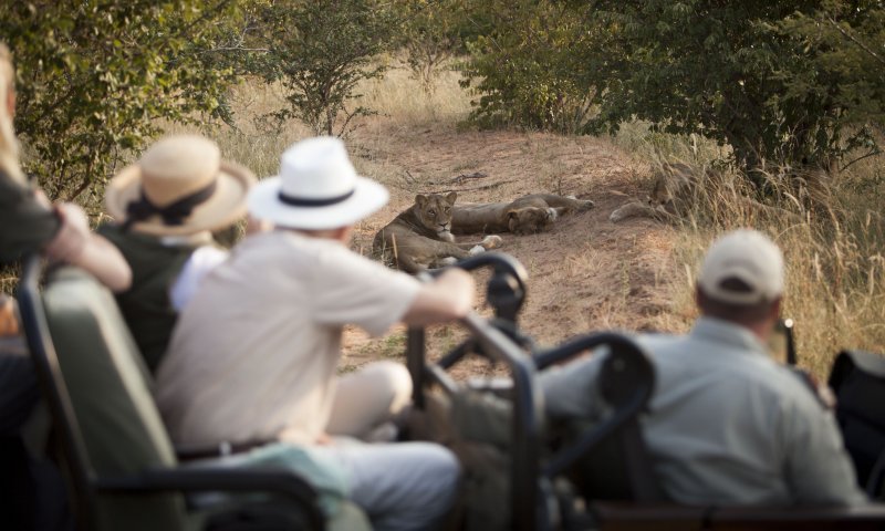 África do Sul – Cape Town e Safari no Kruger – Kapama Private Reserve