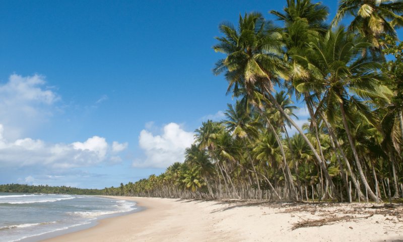 Ilha de Boipeba Livre
