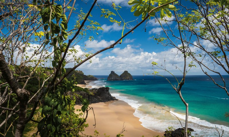 Fernando de Noronha Flex