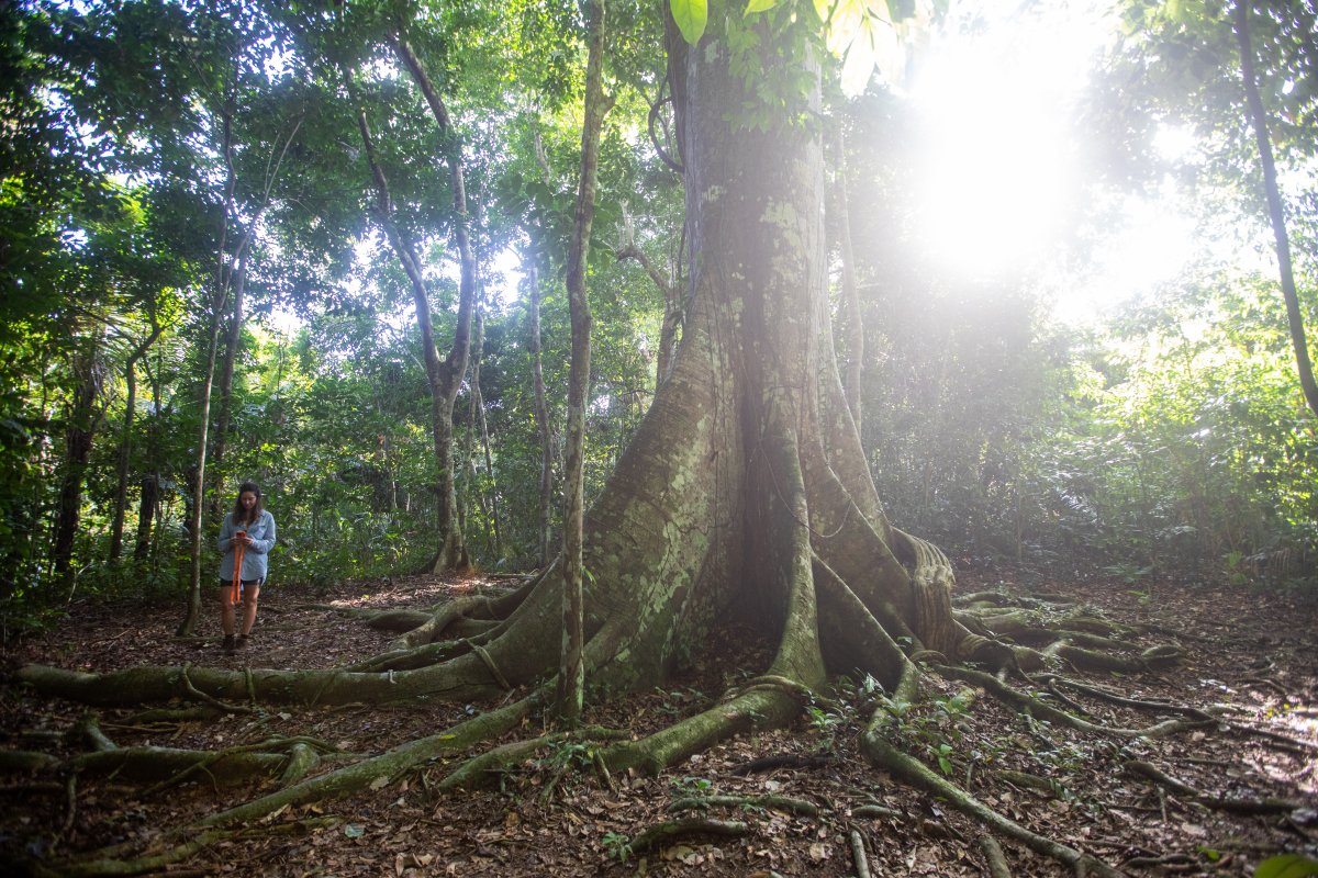 Pacotes de Viagem para Navegação no Rio Negro - Expedições Katerre