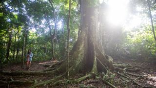 Pacotes de Viagem para Navegação no Rio Negro - Expedições Katerre
