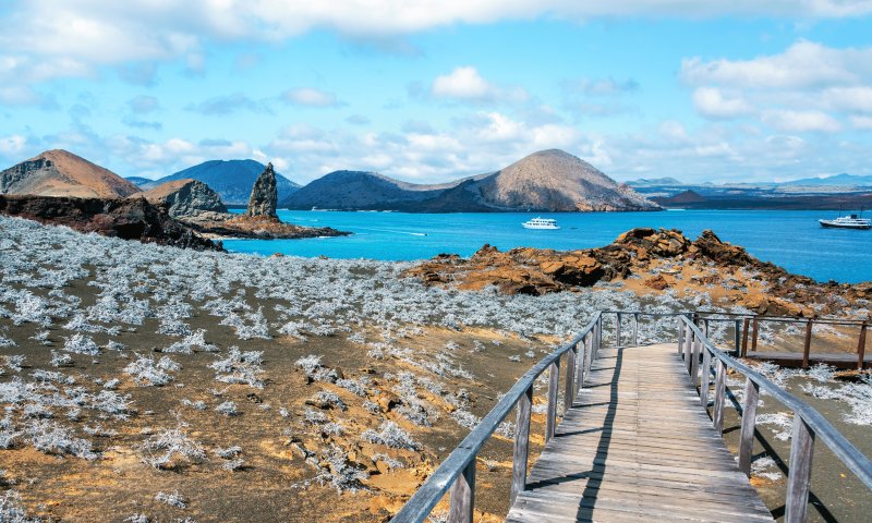 Equador - Combinado das Ilhas Galápagos