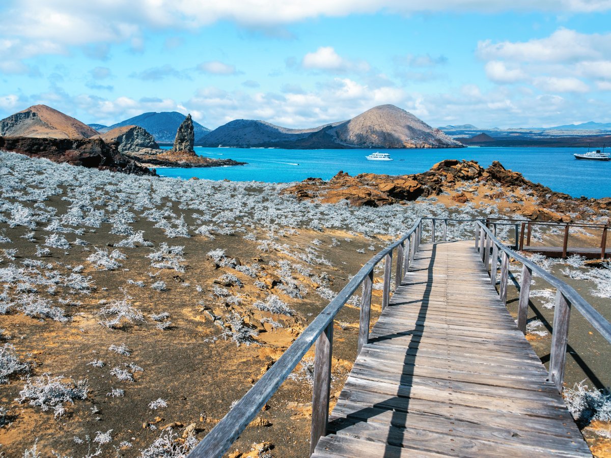 Pacotes de Viagem para Equador com Ilhas Galápagos