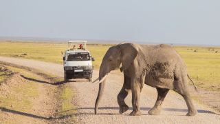 Pacotes de Viagem para Safari na Tanzânia