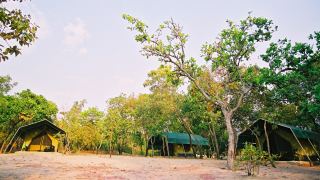 Pacotes de Viagem para o Jalapão no Safari Camp