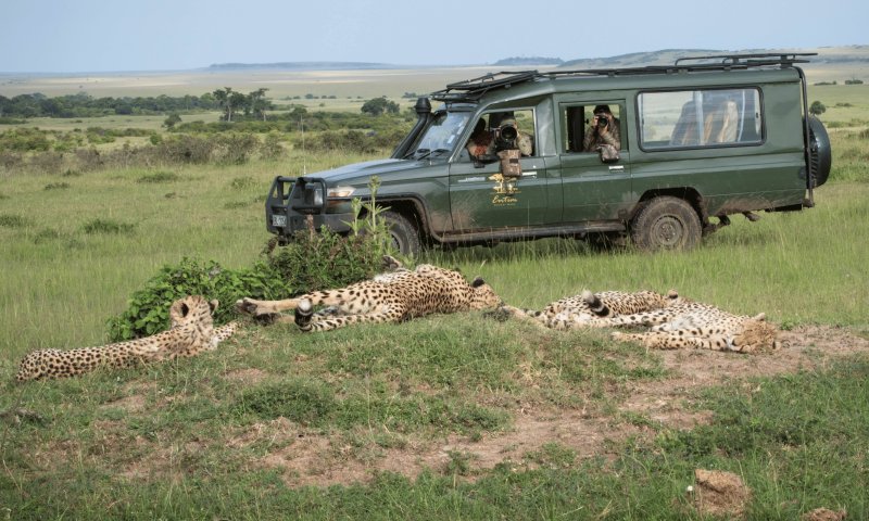 África do Sul - Safári no Madikwe Game Reserve by Jaci´s Lodge