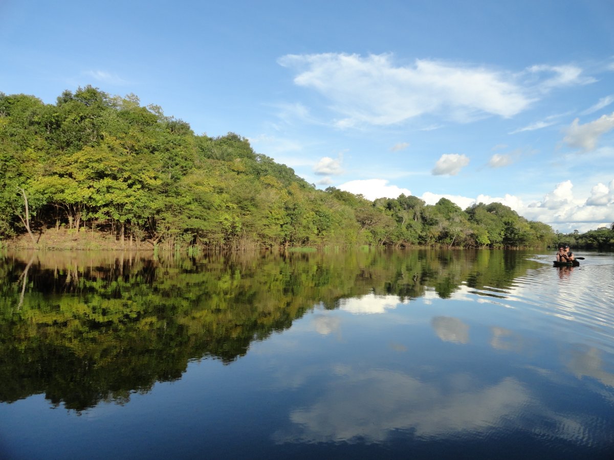 Pacote de Viagem para a Amazônia com Juma Amazon Lodge