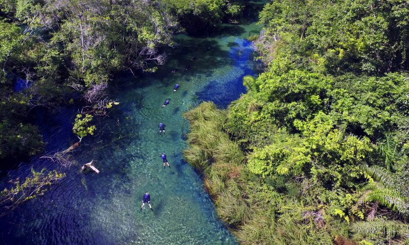 Bonito e Pantanal Sul - Fazenda Aguapé
