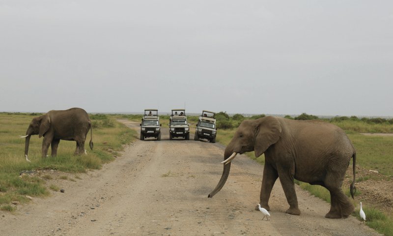 África do Sul – Cape Town e Safari no Kruger – Lion Sands Private Reserve