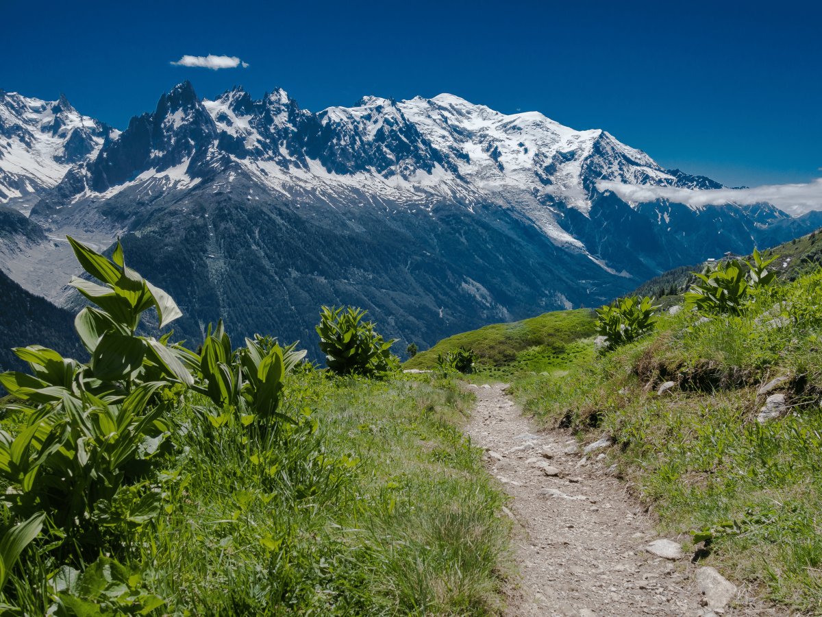 Pacotes de Viagem para o Trekking do Tour du Mont Blanc