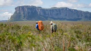 Pacotes de Viagem para a Chapada Diamantina Trekking no Vale do Pati