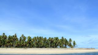 Pacotes de Viagem para a Ilha de Boipeba Bahia