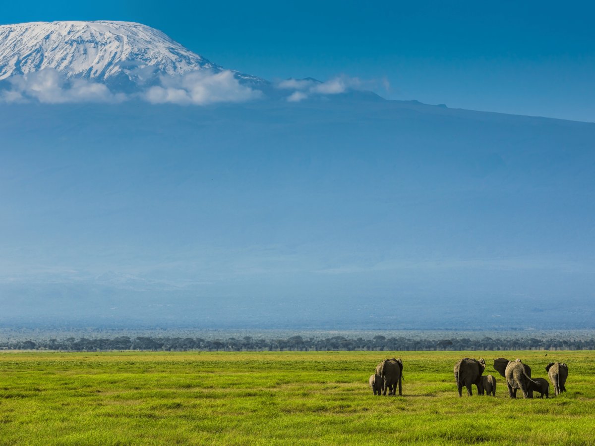 Pacotes de Viagem para Safari na Tanzânia