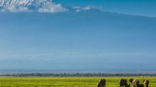 Pacotes de Viagem para Safari na Tanzânia