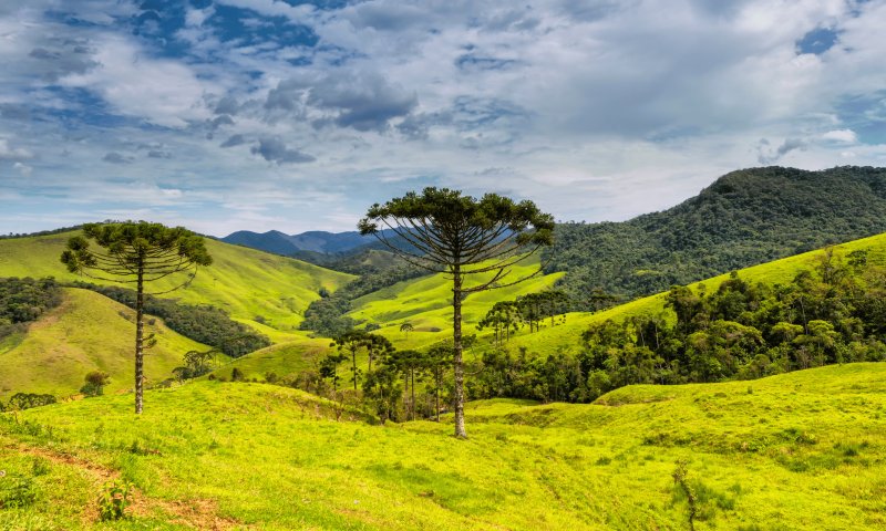 Serra da Bocaina