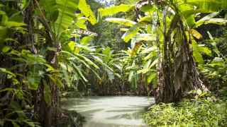 Pacotes de Viagem para o Jalapão no Safari Camp