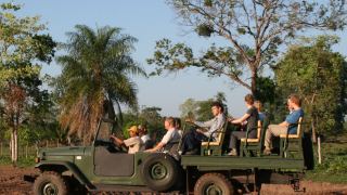 Pacotes de Viagem para o Pantanal na Pousada Aguapé