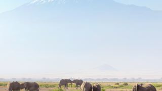 Pacotes de Viagem para o Quênia