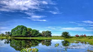 Pacotes de Viagem para o Pantanal na Pousada Aguapé