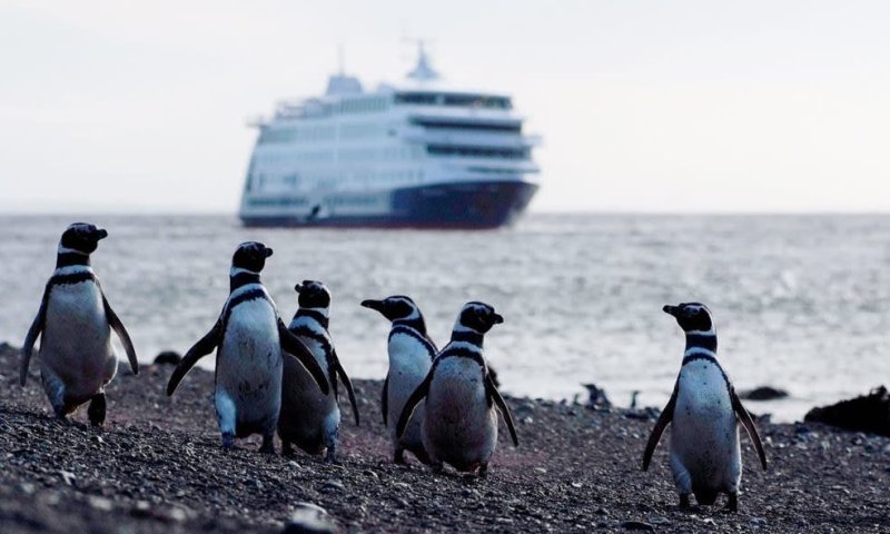 Rota 3 - Cruzeiro Australis Patagonia - Exploradores 