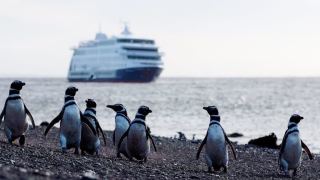 Pacotes de Viagem para o Cruzeiro Australis Patagônia Argentina