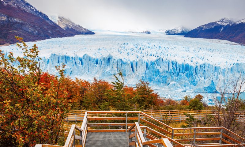 REVEILLON - Patagônia Essencial – El Calafate