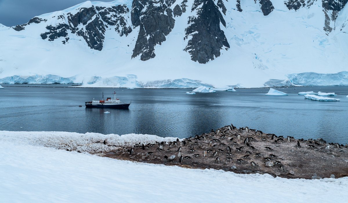 Pacotes de Viagem para Cruzeiro na Antártica