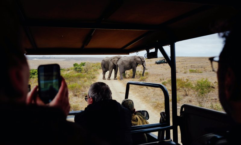 África do Sul – Cape Town e Safari no Kruger – Karongwe Private Reserve