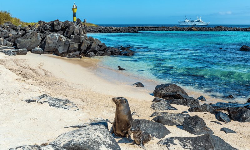 Equador - O Melhor de Galápagos