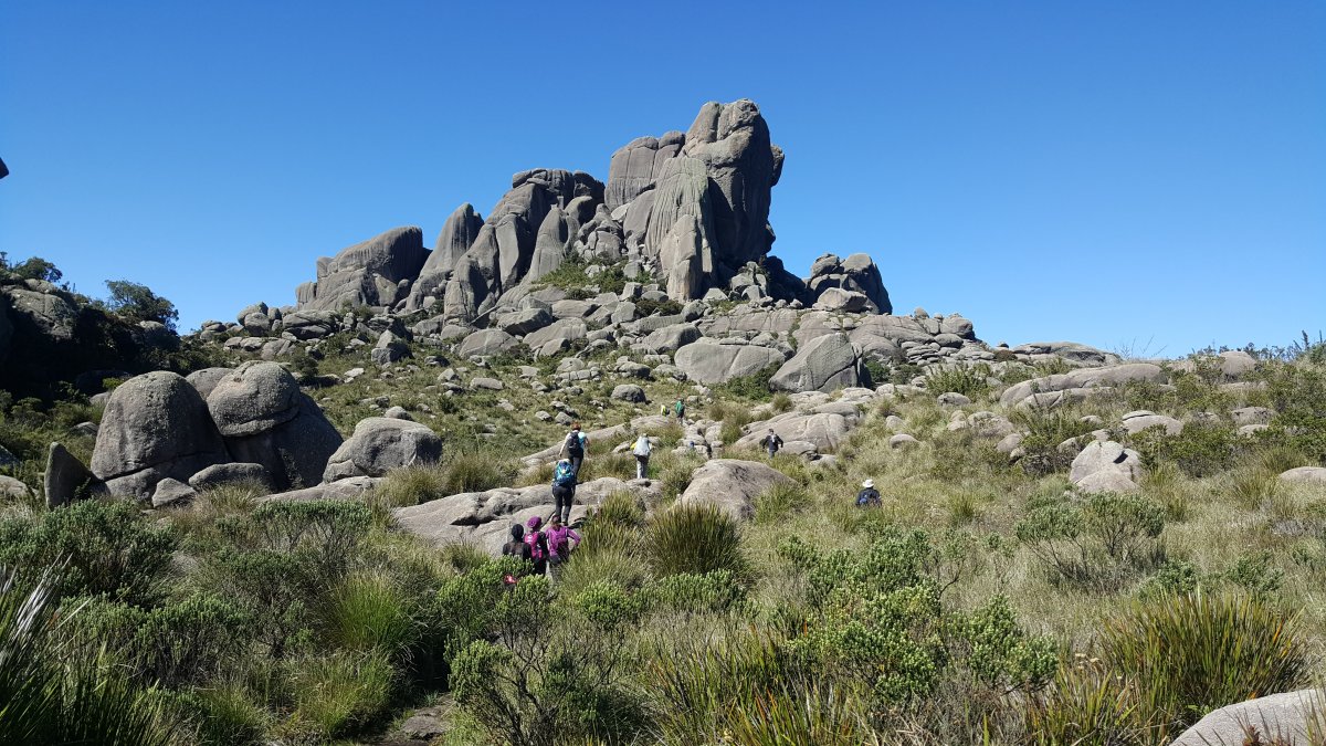 Pacote de Viagem para a Serra da Mantiqueira com Itatiaia e cume do Prateleiras